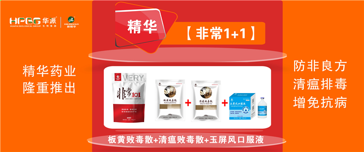 科普：非洲猪瘟防控步伐 |【很是1+1】防非良方, 清瘟排毒、增免抗病，，，，，加速猪瘟抗体爆发!