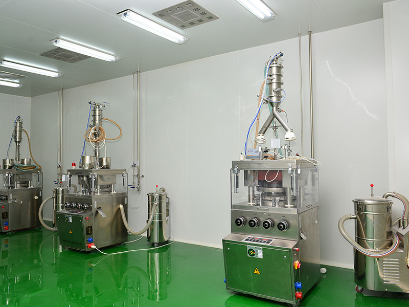 片剂颗粒剂车间：压片机 